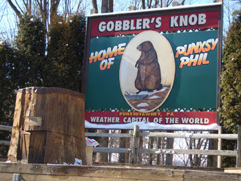 gobbler's knob