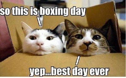 cats-on-boxing-day
